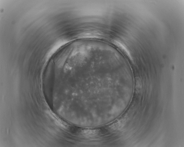 X0000088031419200705251105