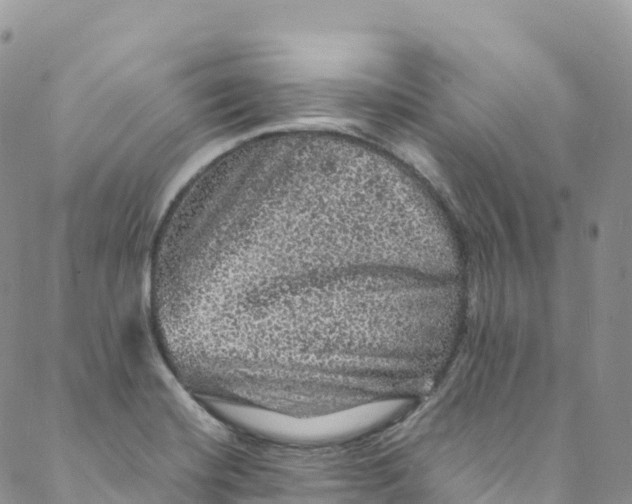 X0000088031420200705251105