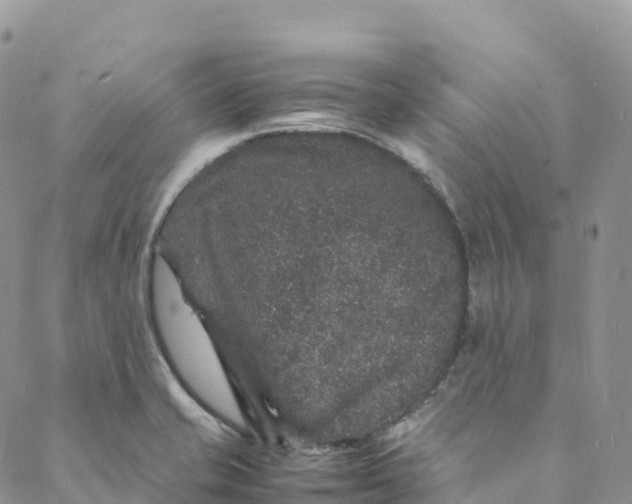 X0000088031421200705251105