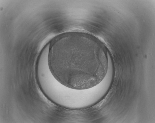 X0000088031422200705251105