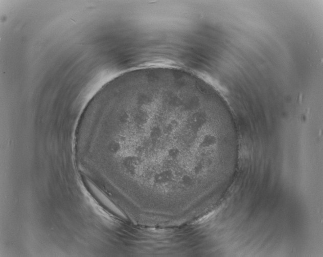 X0000088031423200705251105