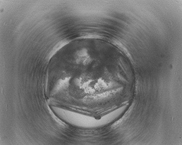 X0000088031425200705251105