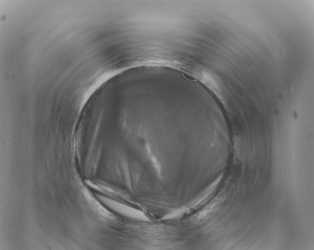 X0000088031428200705251105