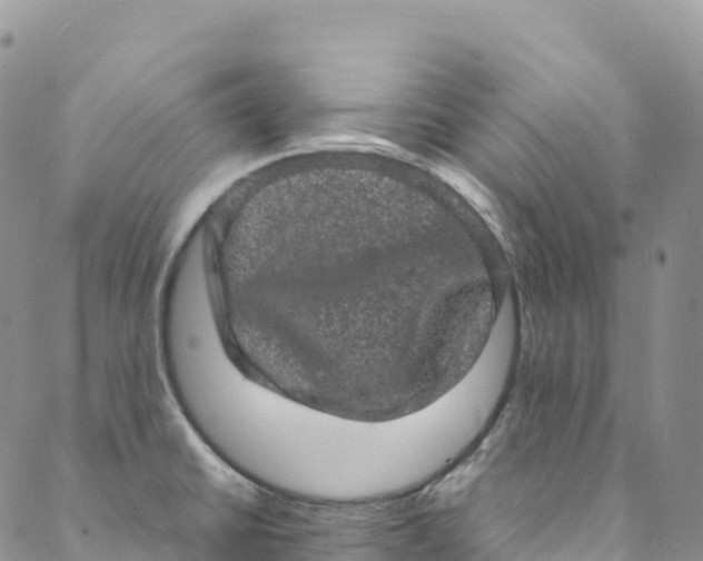 X0000088031430200705251105