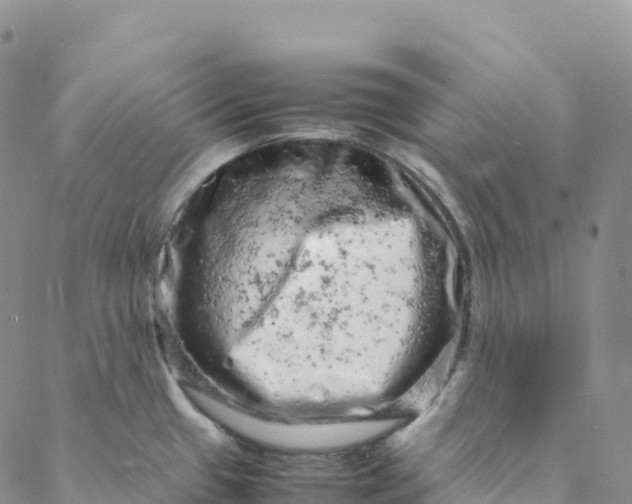 X0000088031433200705251105