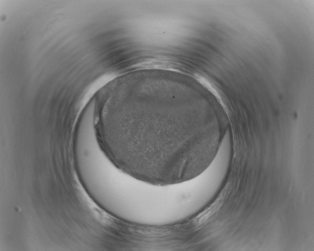 X0000088031434200705251105