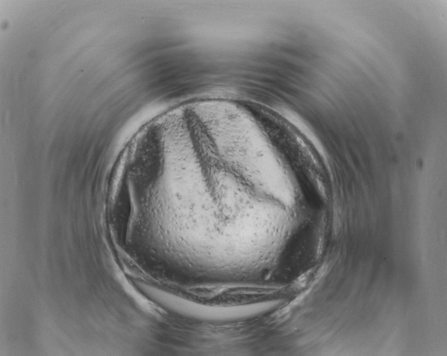 X0000088031437200705251105