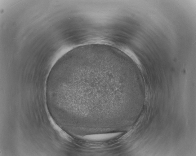 X0000088031439200705251105