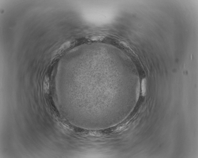 X0000088031443200705251105