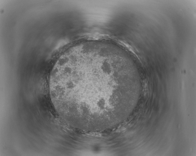 X0000088031446200705251105