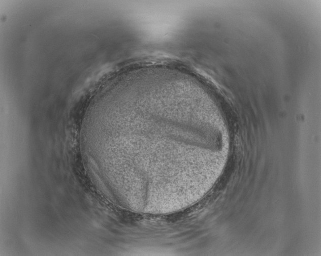 X0000088031447200705251105