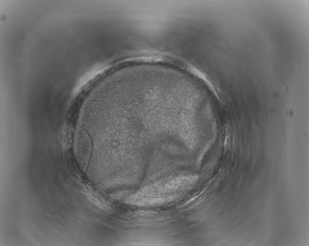 X0000088031448200705251105