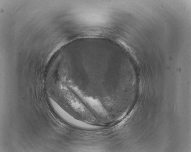 X0000088031449200705251105