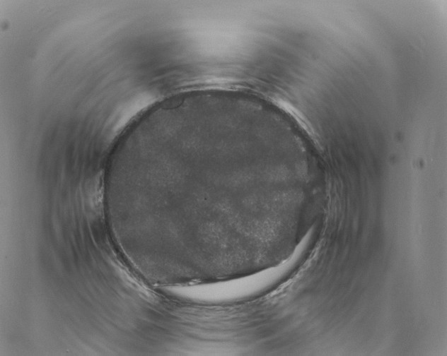 X0000088031450200705251104