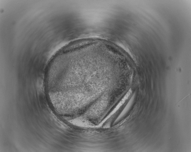 X0000088031452200705251104