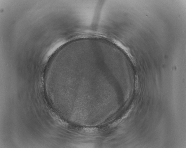 X0000088031453200705251104