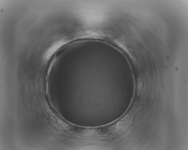 X0000088031455200705251104