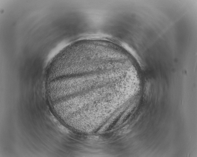 X0000088031456200705251104