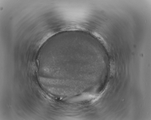 X0000088031457200705251104