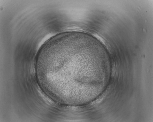 X0000088031458200705251104