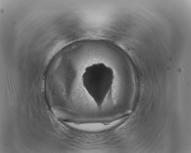 X0000088031459200705251104