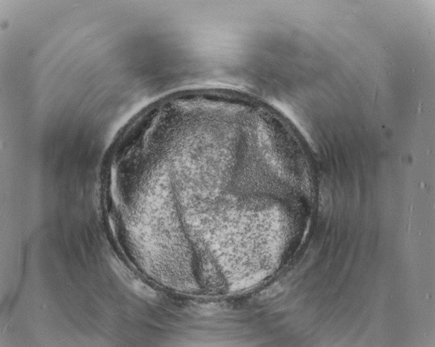 X0000088031460200705251104