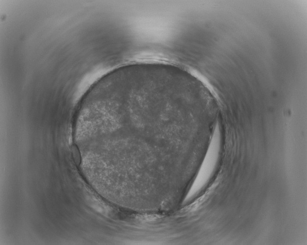 X0000088031461200705251104