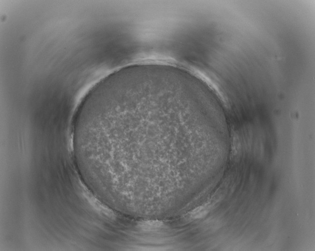 X0000088031462200705251104