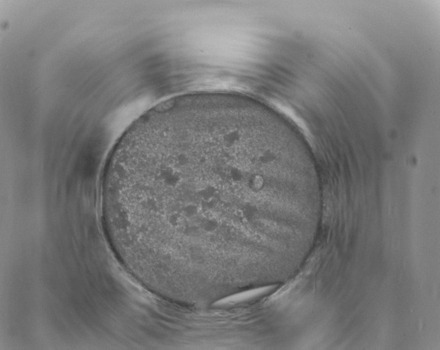 X0000088031467200705251104