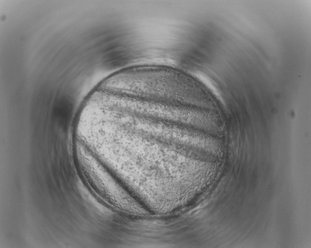 X0000088031468200705251104