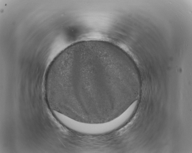 X0000088031469200705251104