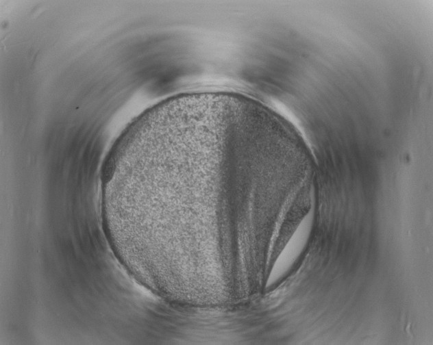 X0000088031472200705251104