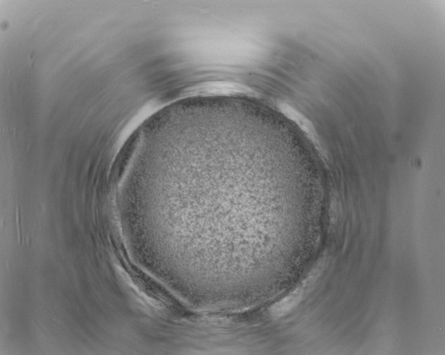 X0000088031473200705251104