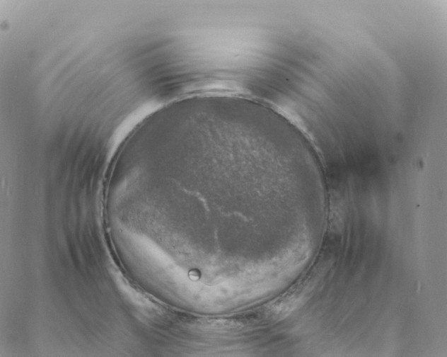 X0000088031474200705251104