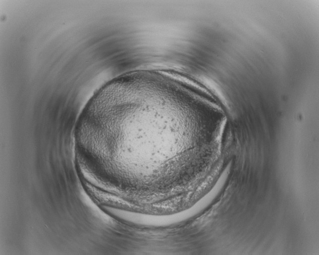 X0000088031476200705251104