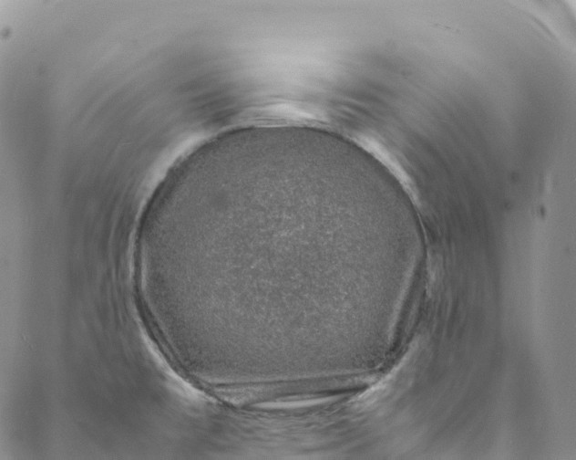 X0000088031477200705251104