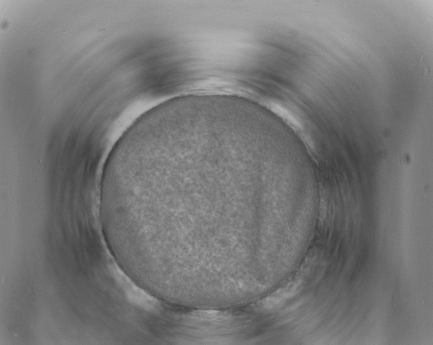 X0000088031478200705251104