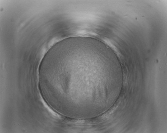 X0000088031479200705251104