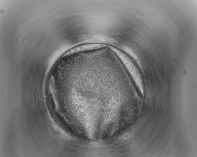 X0000088031480200705251104