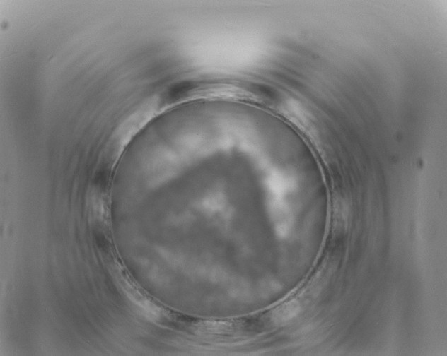 X0000088031481200705251104