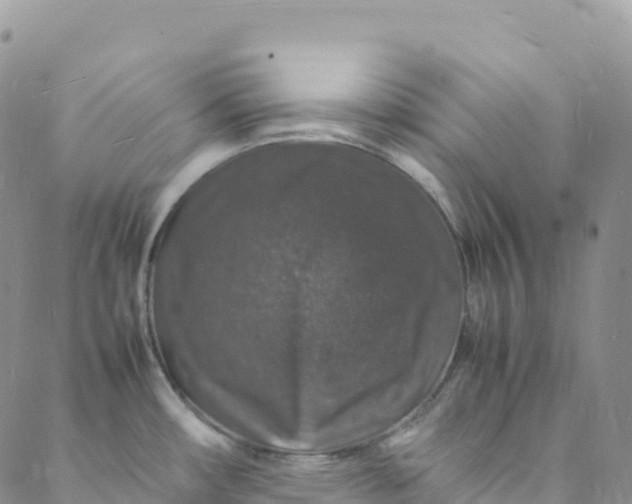 X0000088031482200705251104