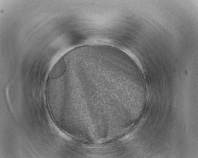 X0000088031486200705251104