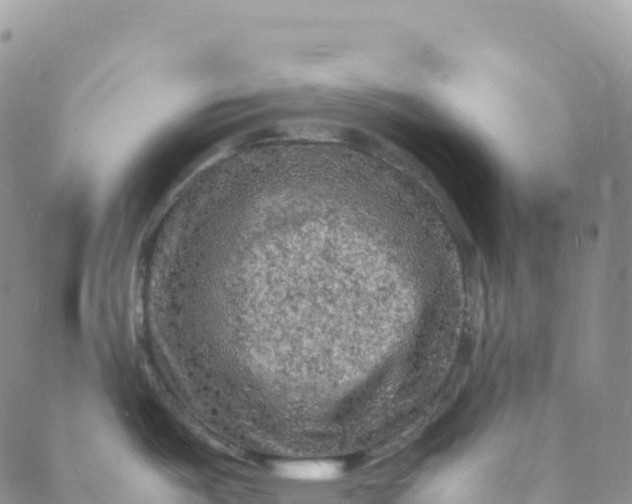 X0000088031487200705251104