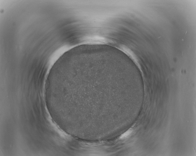 X0000088031488200705251104