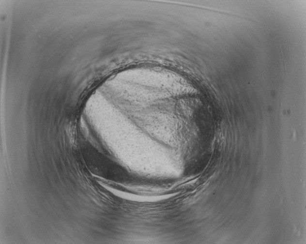 X0000088031490200705251103