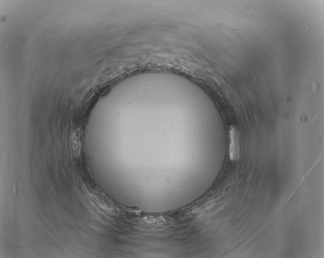 X0000088031491200705251103