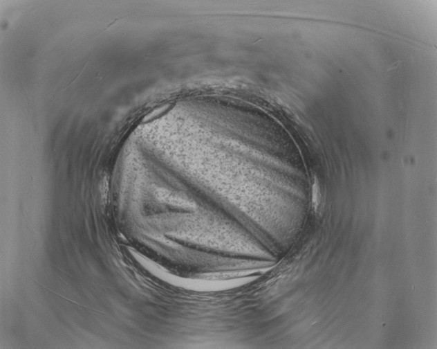 X0000088031492200705251103