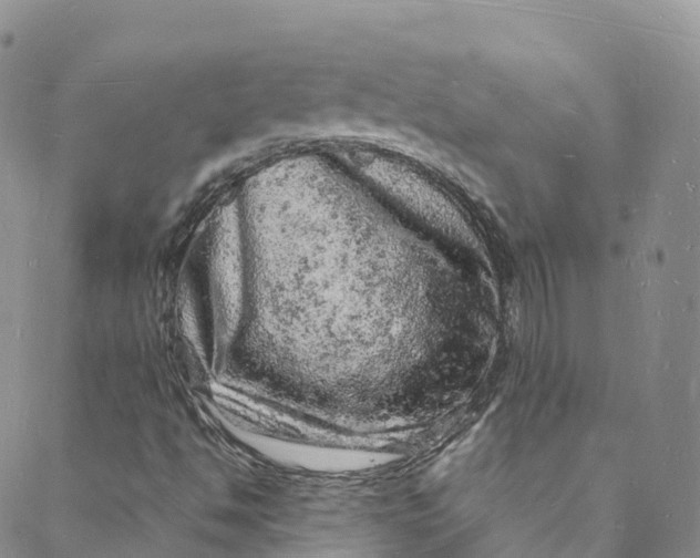 X0000088031494200705251103