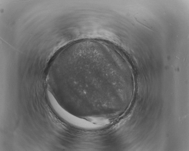 X0000088031497200705251103