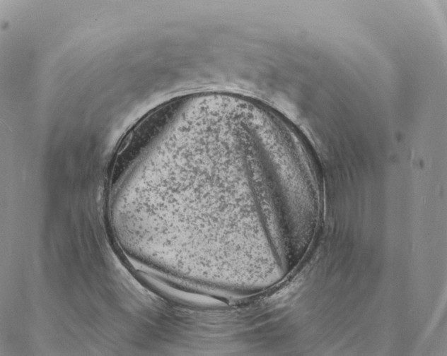 X0000088031500200705251103